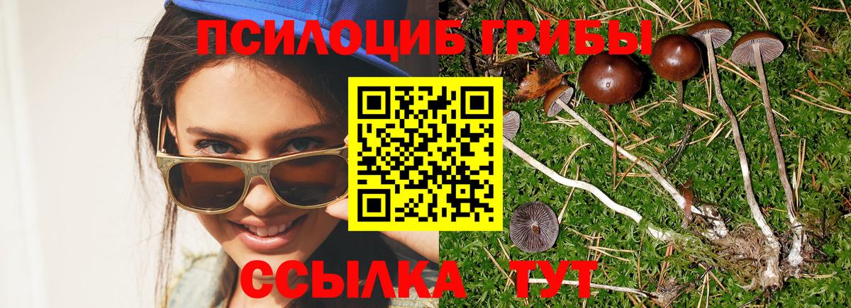 Псилоцибиновые грибы Psilocybe  Псилоцибиновые грибы Psilocybine cubensis  Кизляр  дарнет шоп  Вход с VPN 